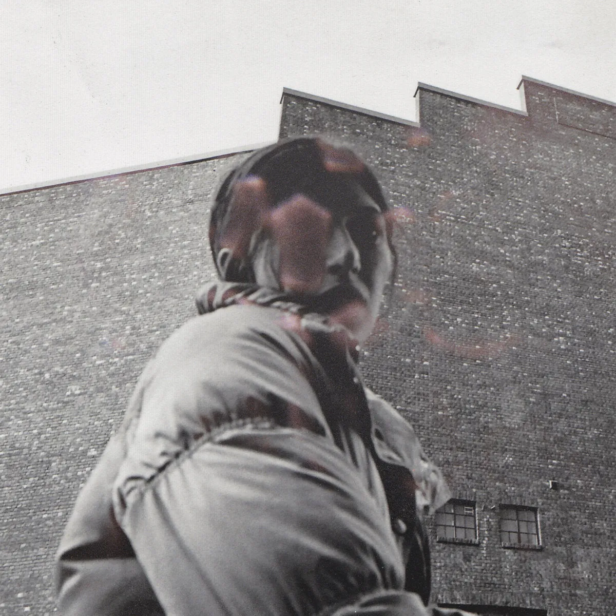 ALDOUS HARDING 'Warm Chris' LP
