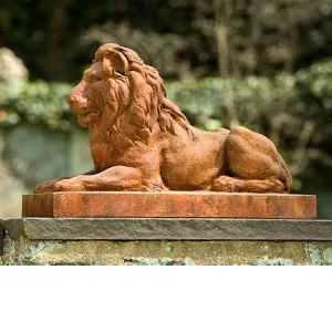 Campania Classic Lion