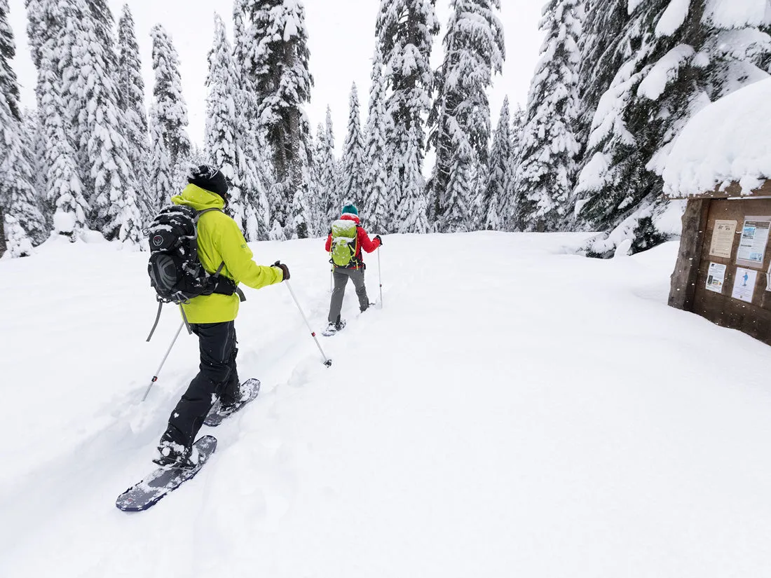 Dynalock Trail Backcountry Poles