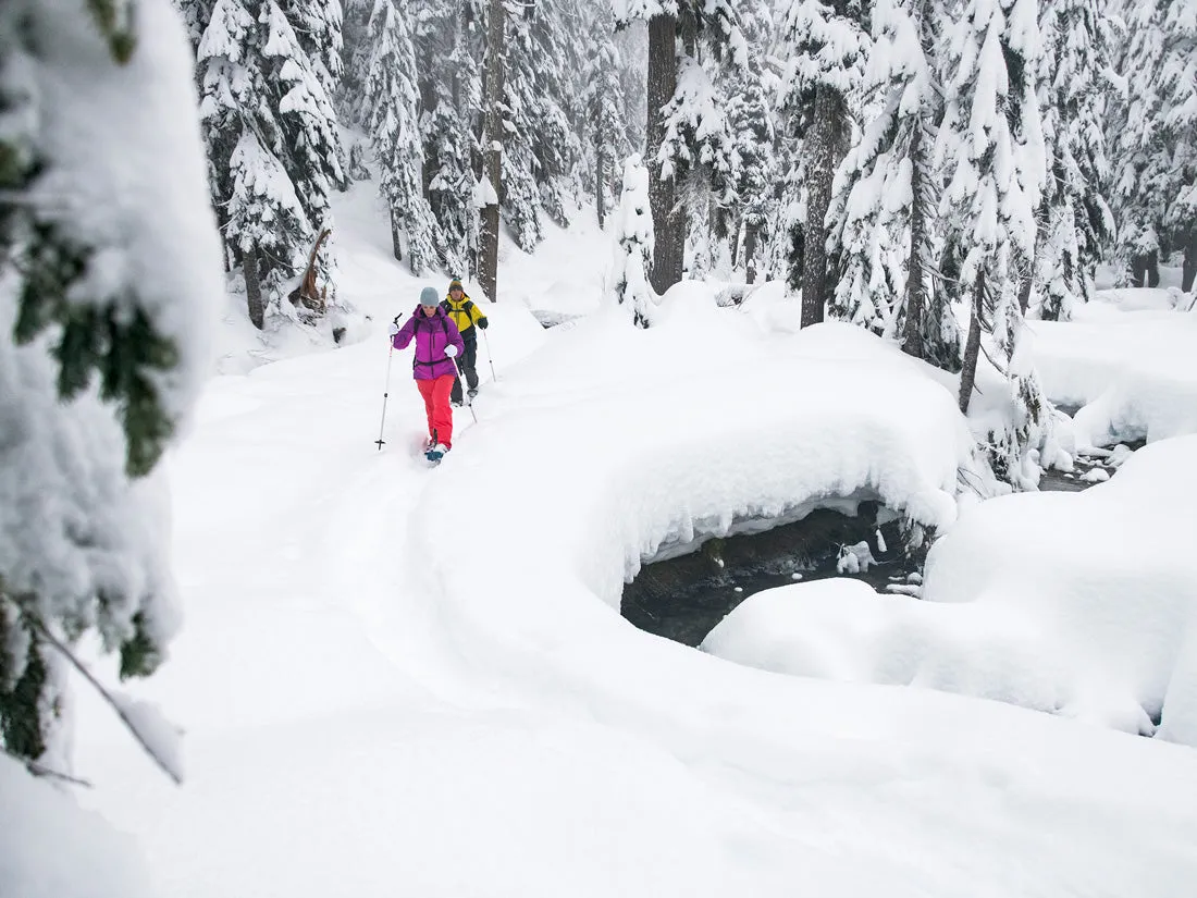 Dynalock Trail Backcountry Poles