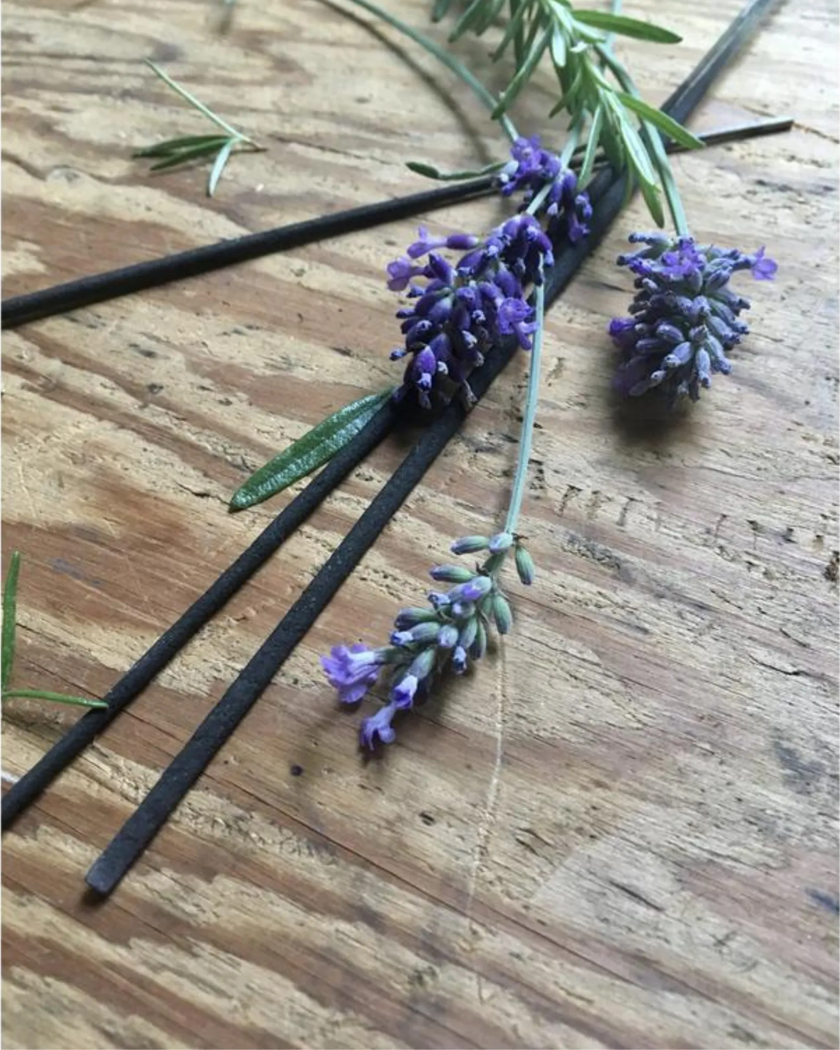 Herbal Renewal: Lavender   Rosemary