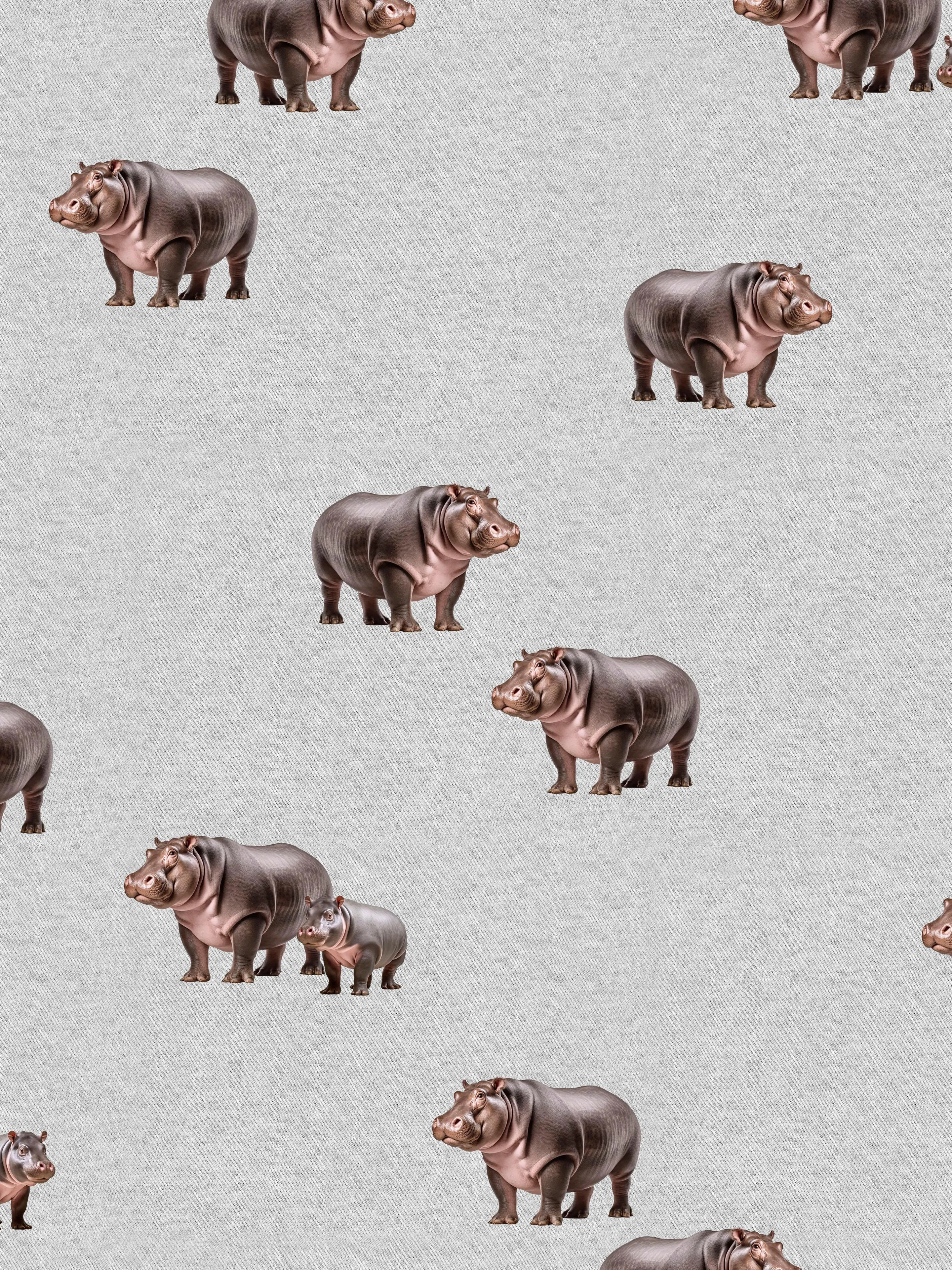 Hippos Sweater en Broek set Unisex