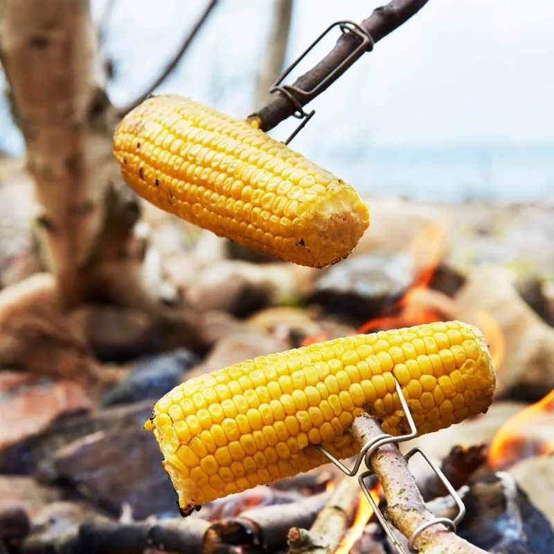 Light My Fire - GrandPa's FireFork Bio 2 pak - Grillspyd