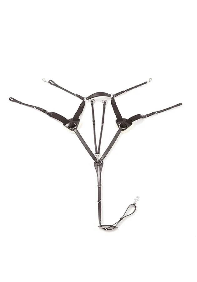 PEI Invorio 5 Point Breastplate