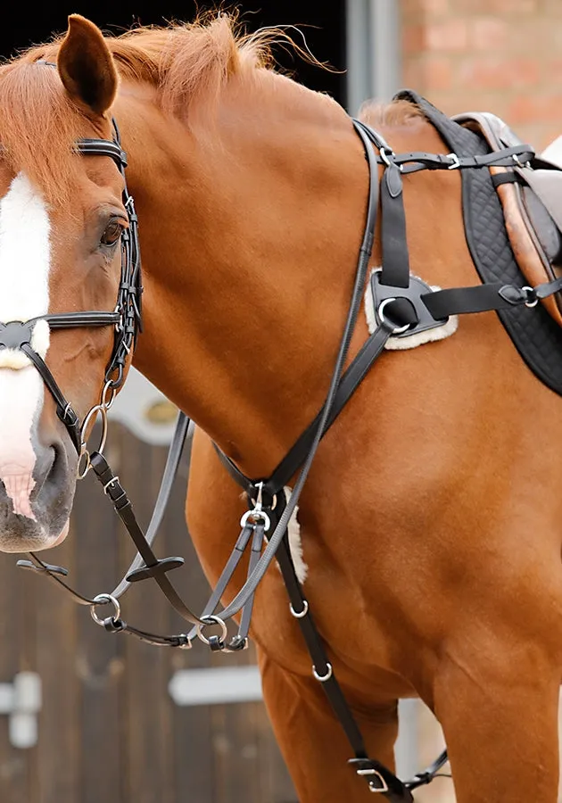 PEI Invorio 5 Point Breastplate