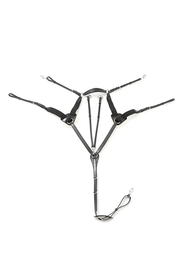 PEI Invorio 5 Point Breastplate