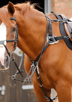 PEI Invorio 5 Point Breastplate