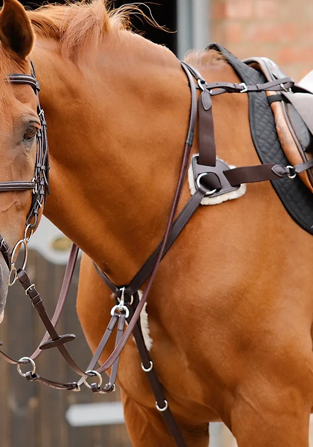 PEI Invorio 5 Point Breastplate