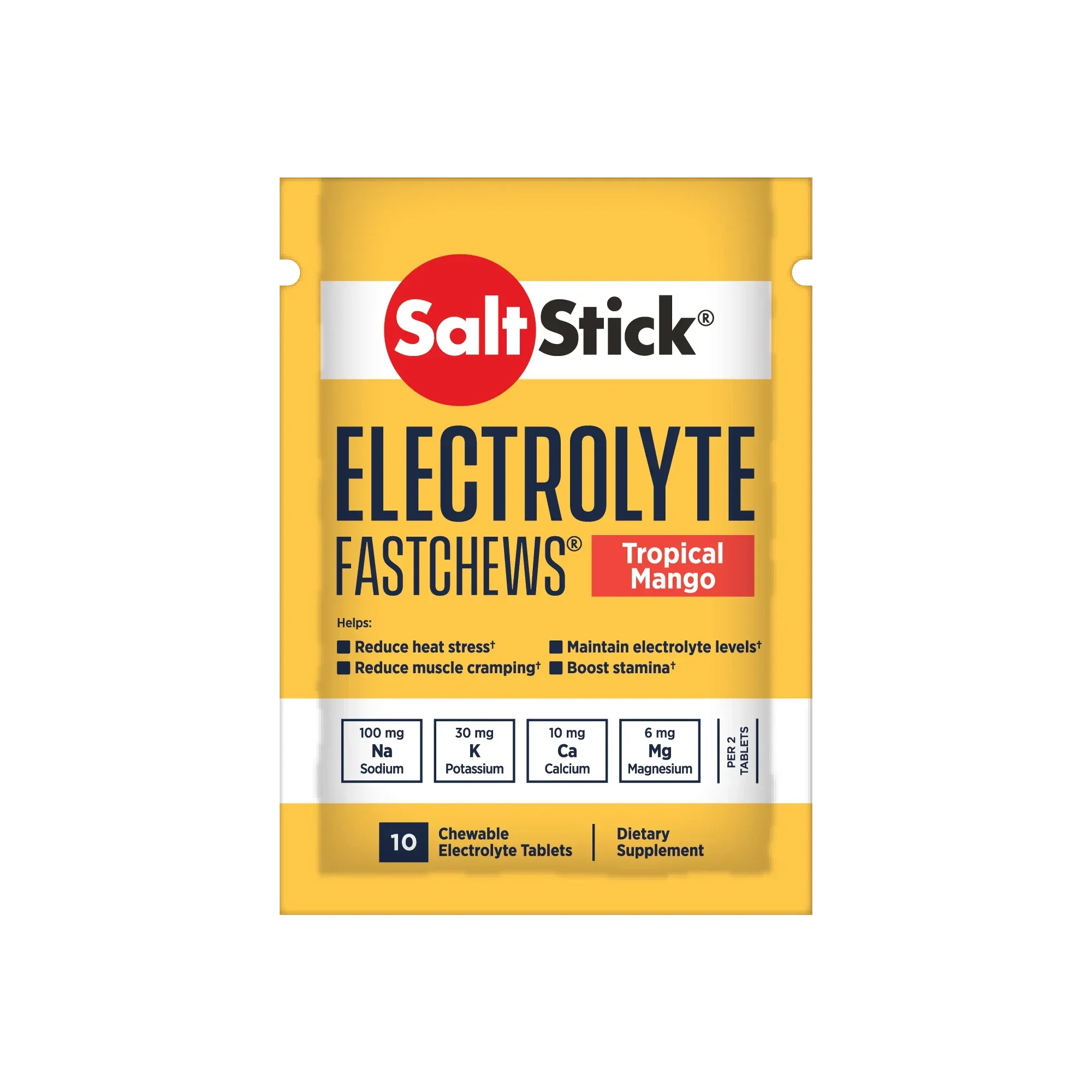 SALTSTICK FASTCHEWS - SINGLE PACK OF 10 CHEWS