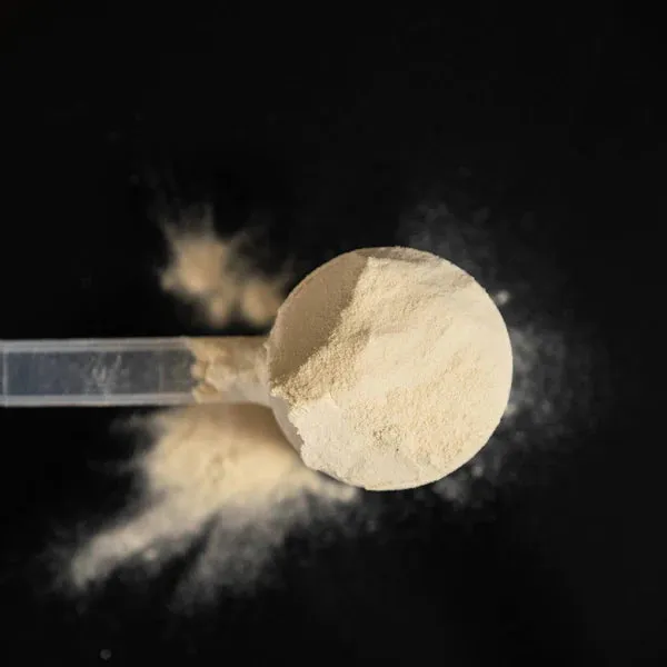 Ultra Recovery™ Protein Powder (500g) - Vanilla