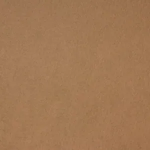 Wool Felt in Camel