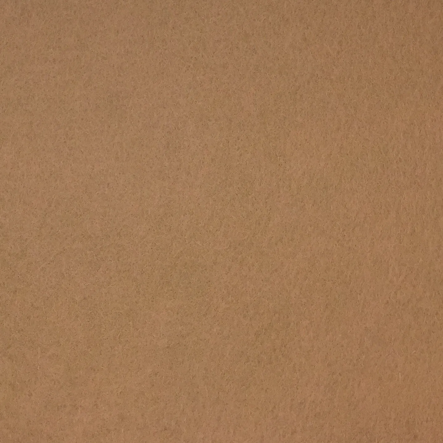 Wool Felt in Camel